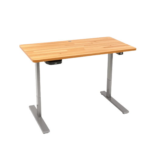 Standing Desk Pro