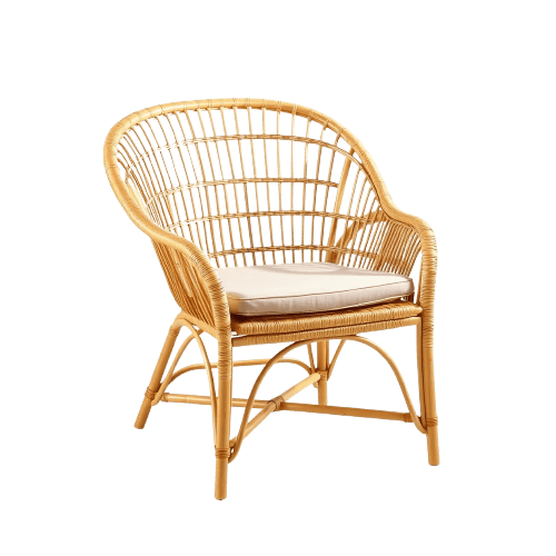 Rattan Lounge Chair